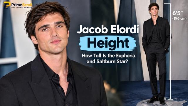 Jacob Elordi Height: The Real Numbers Behind Hollywood's Towering Leading Man